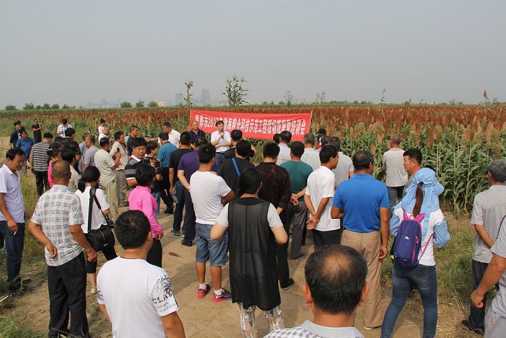 1535506142687039768.jpg IMG_2849.jpg