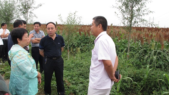 1535506290360078457.jpg IMG_2629.jpg