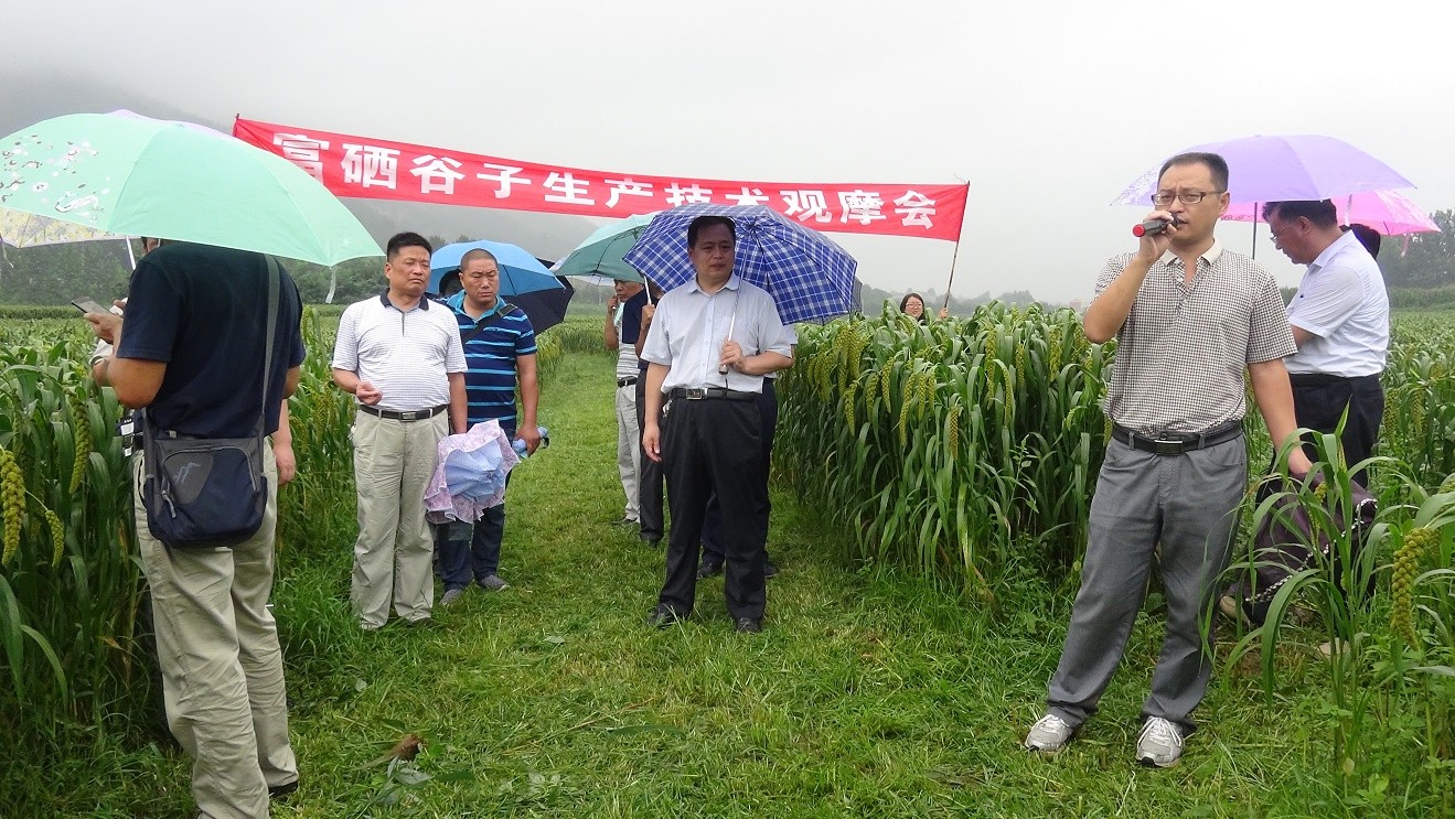 1535510446714002951.jpg 1.jpg