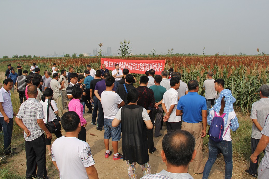 1535511263943032059.jpg IMG_2849.jpg