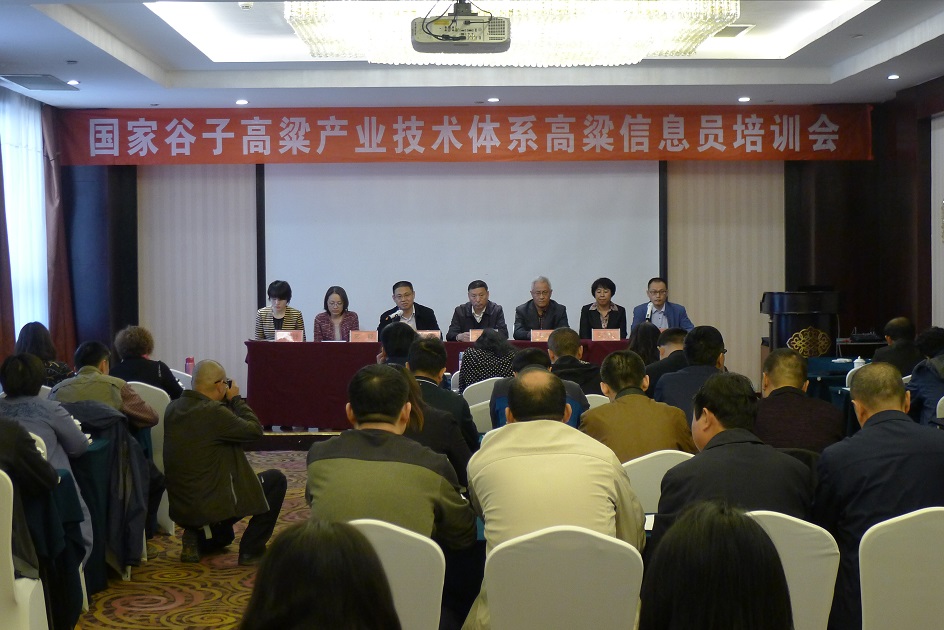 1535511439132036493.jpg A0.jpg