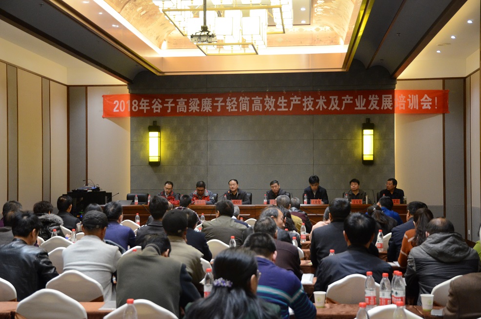 1535511569632084844.jpg YUX_8030.jpg