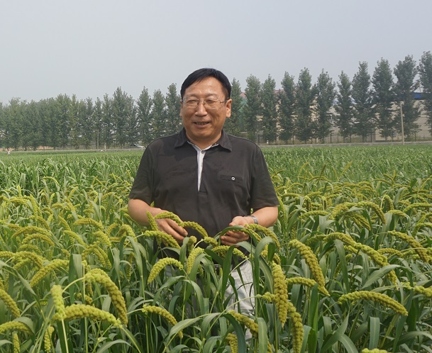 1546434986826072541.jpg 谷子研究所-程汝宏-育种室-正研-所长 (1).jpg