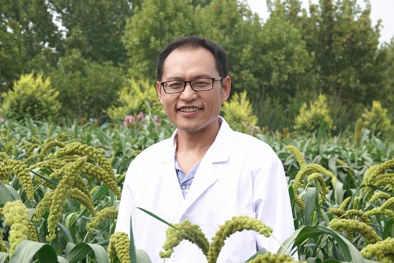 1546436377435079624.jpg 谷子研究所-李顺国-副所长主任-栽培与经济室-研究员.jpg