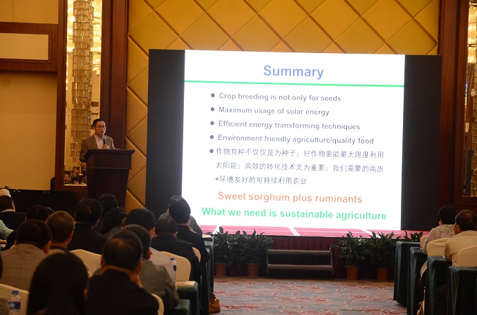 1574405386973095438.jpg BOY_4825.jpg