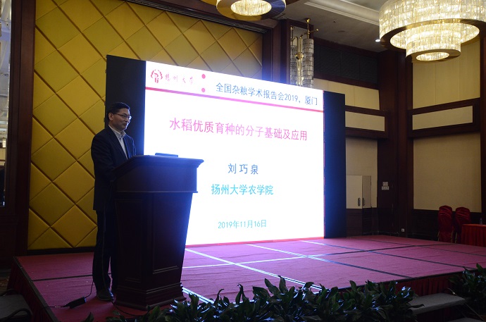 1574405412536068565.jpg BOY_4839.jpg