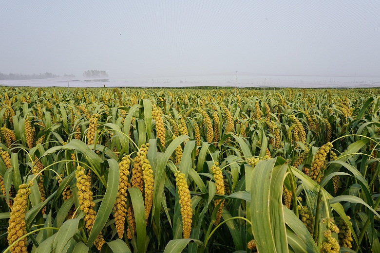 1586509889783022307.jpg 冀谷T6.jpg