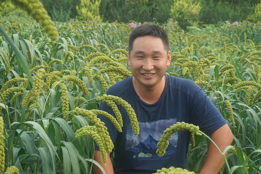 1587110099673078312.jpg 谷子研究所-王根平-育种室-副研 (5).jpg