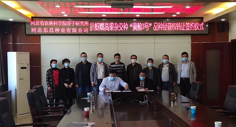 1587439001502086627.jpg 1.jpg