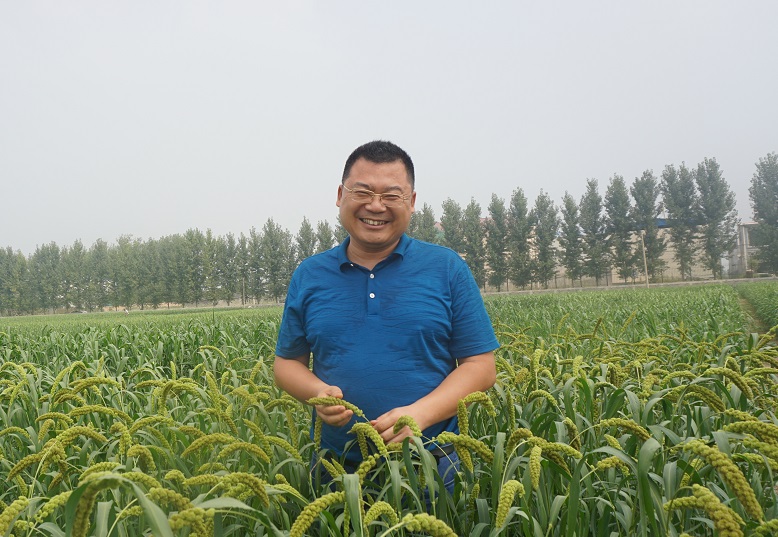 谷子研究所-董立-育种室-正研 (1).jpg