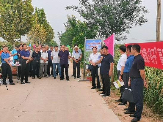 1599188462111049483.jpg 1.jpg