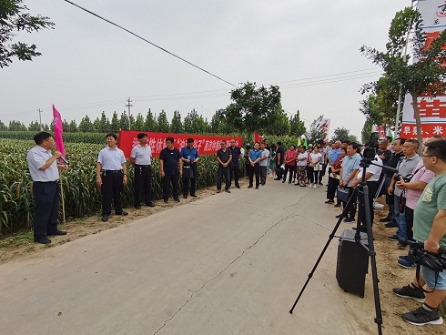 1599188479720090232.jpg 3.jpg