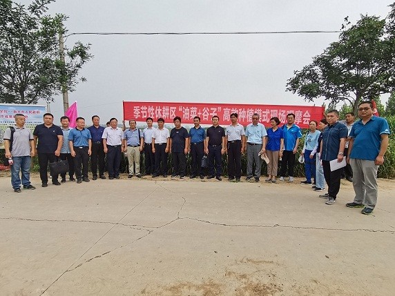 1599188496142061532.jpg 4.jpg