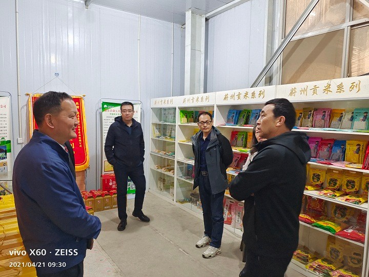 4.21蔚县调研.jpg