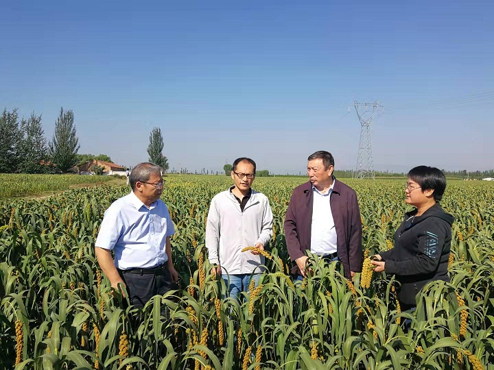 1632383157584089099.jpg 1.jpg