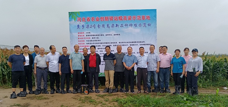 1632386385168088285.jpg 1.jpg