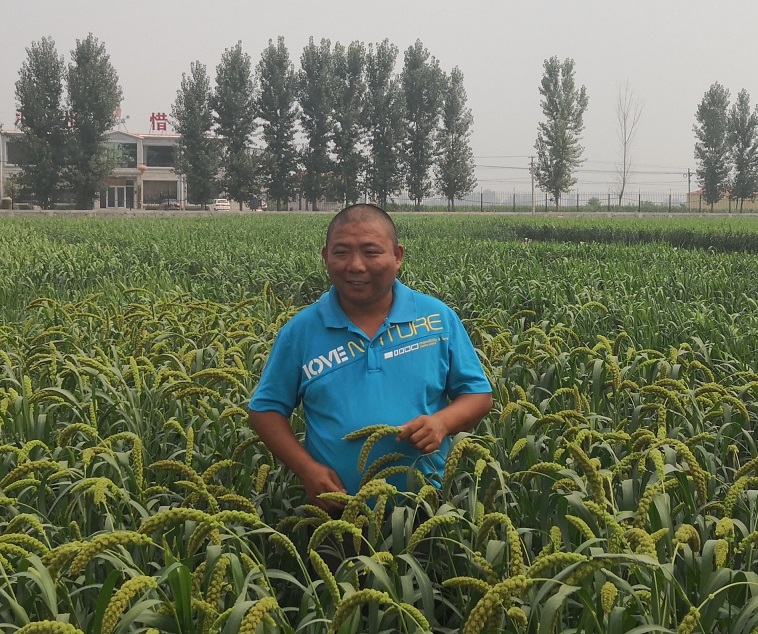 谷子研究所-师志刚-育种室-正研 (2).jpg