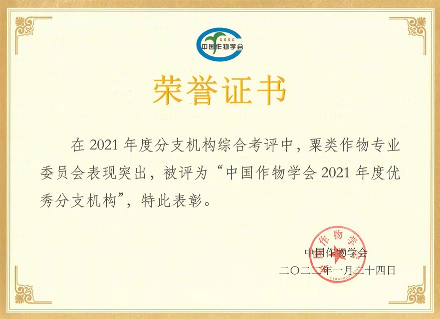 1645167179558079454.jpg 1.jpg