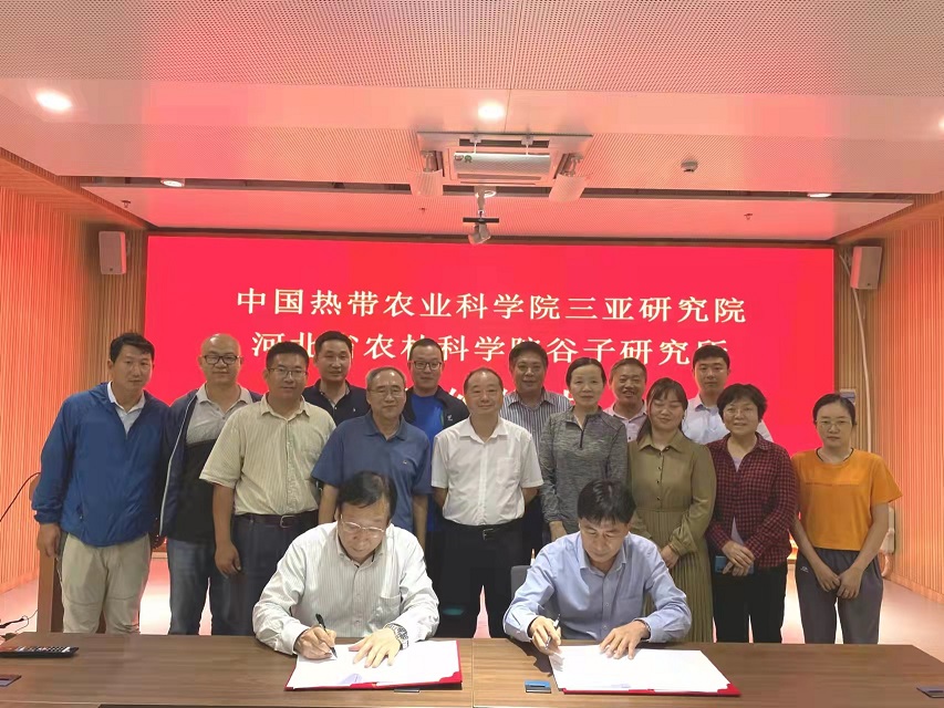 1645167621684058879.jpg 1.jpg