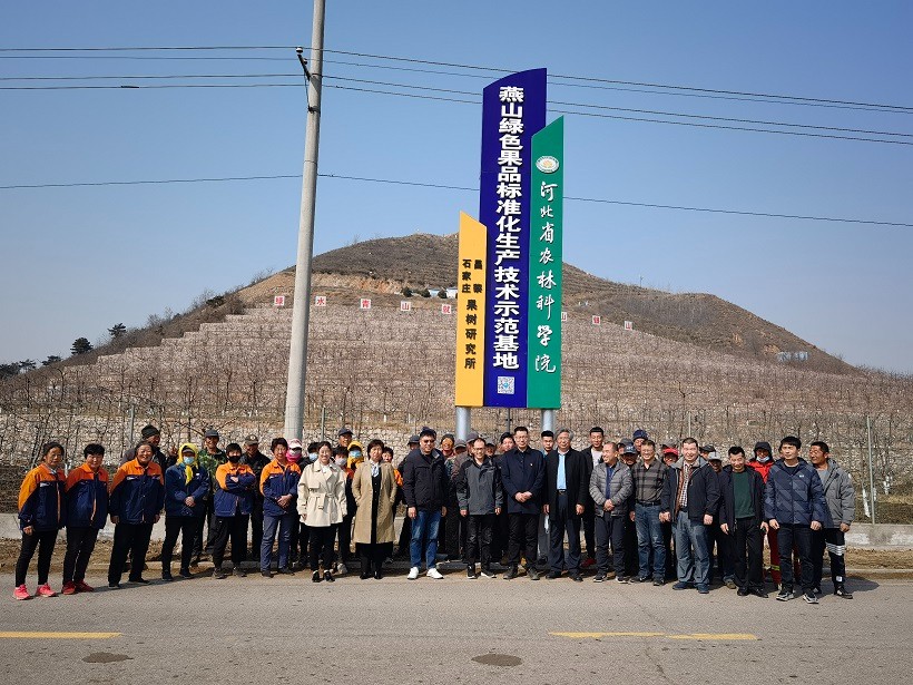 1647394088985005737.jpg 3.jpg