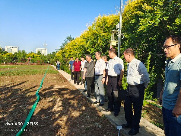 1654482996238041595.jpg 3.jpg