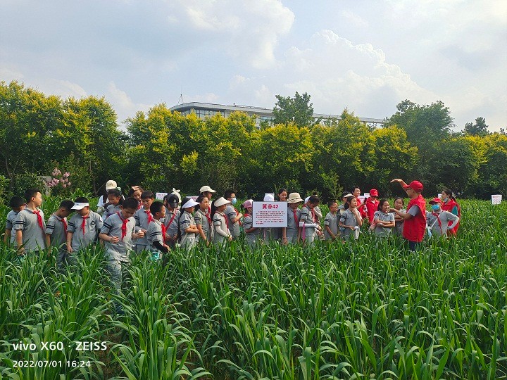 1657009792318069719.jpg 1.jpg