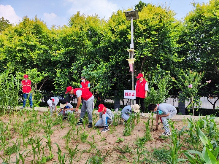 1657009834857025156.jpg 2.jpg