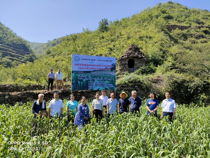 1659596790647049400.jpg 1.jpg