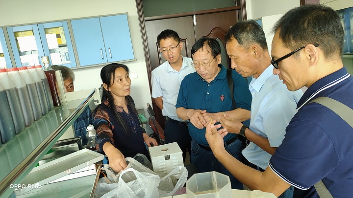 1659599281925038217.jpg 3.jpg