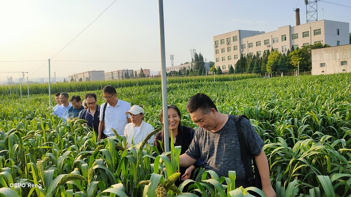 1659599295933059302.jpg 4.jpg