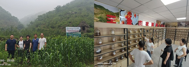 1664242331690063037.jpg 4.jpg