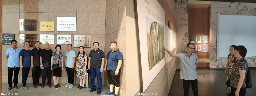 1664242534047023931.jpg 5.jpg