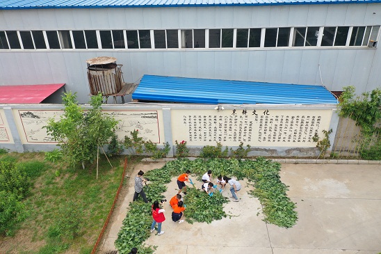 1664261166886048674.jpg 3.jpg