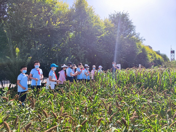 1664264311010082357.jpg 4.jpg