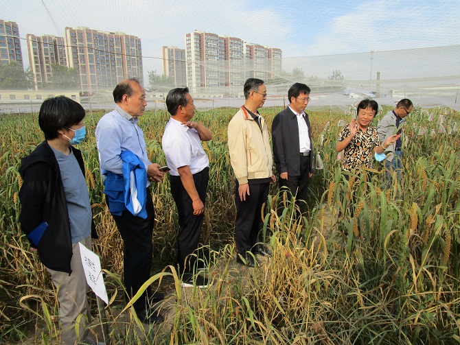 1664521526161072385.jpg 1.jpg