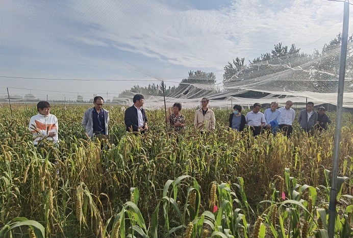 1664521539112006772.jpg 2.jpg