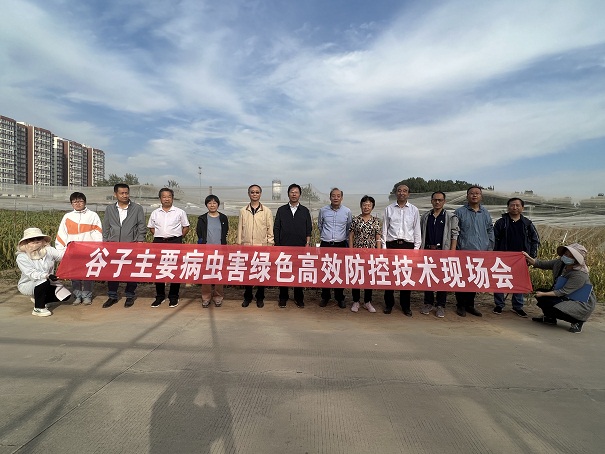 1664521565678070512.jpg 3.jpg