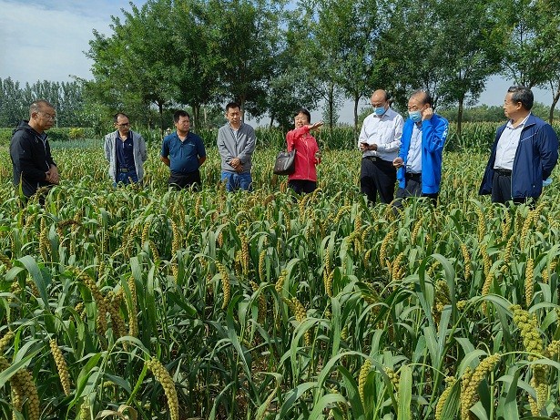 1664521947762000583.jpg 1.jpg