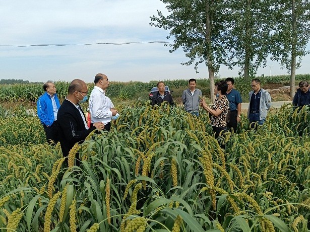 1664521964298017229.jpg 2.jpg