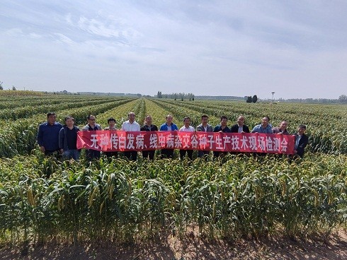 1664521979370034839.jpg 3.jpg