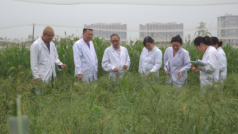 1675925842741052672.png 1.png