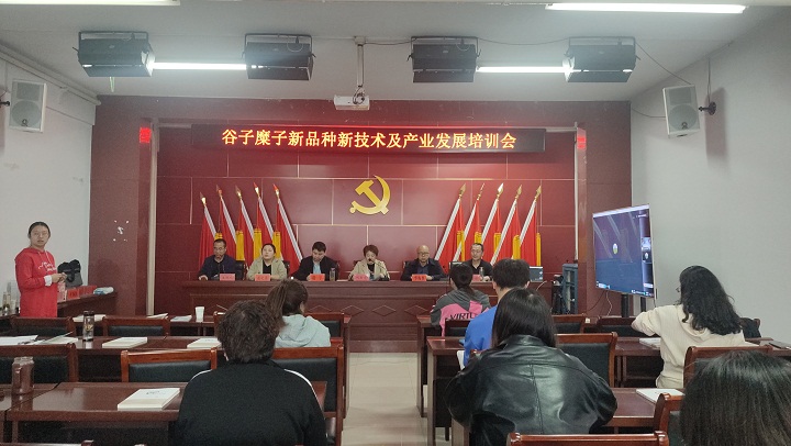 1688713533432042902.jpg 1.jpg