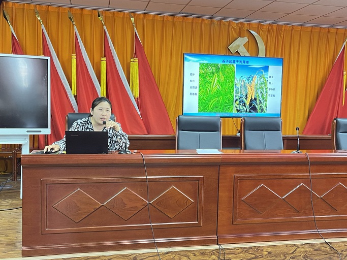 1688713727537023204.jpg 图片2.jpg