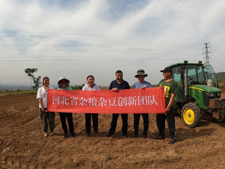 1688716758949042267.jpg 1.jpg