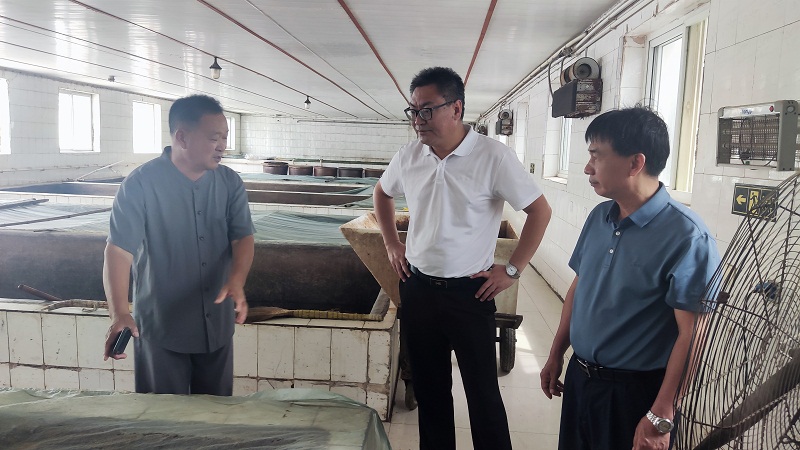 1688717601820004171.jpg 1.jpg