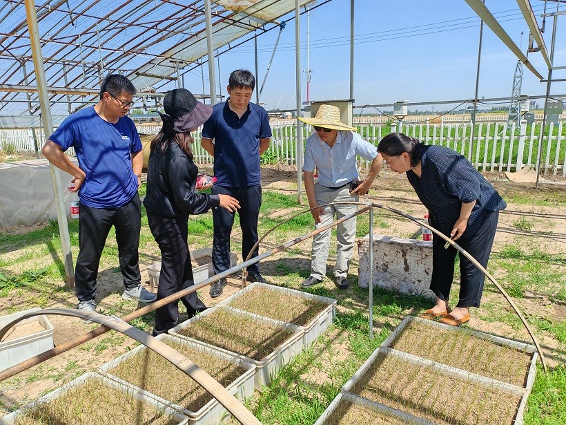 1688717795710018298.jpg 1.jpg