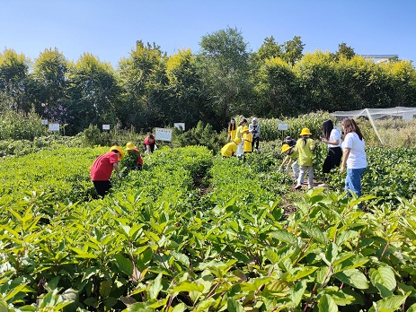 1697682143817052688.jpg 2.jpg