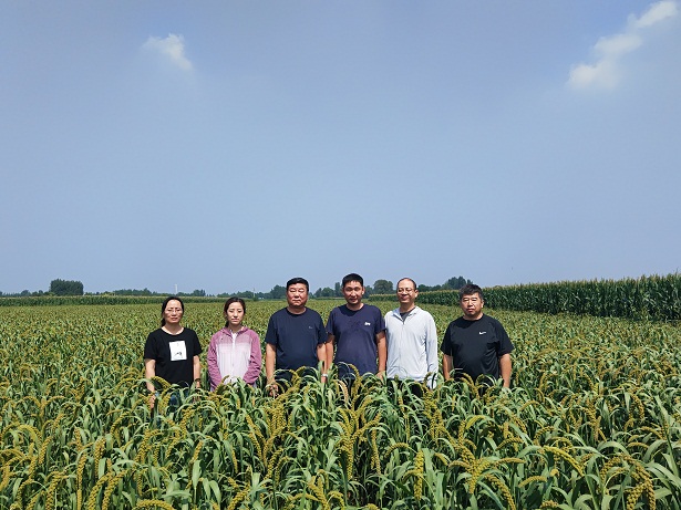 1697682884516089820.jpg 2.jpg