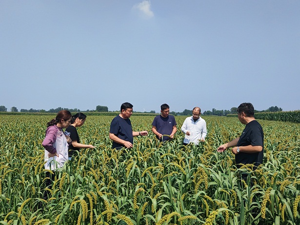 1697682929902008423.jpg 3.jpg