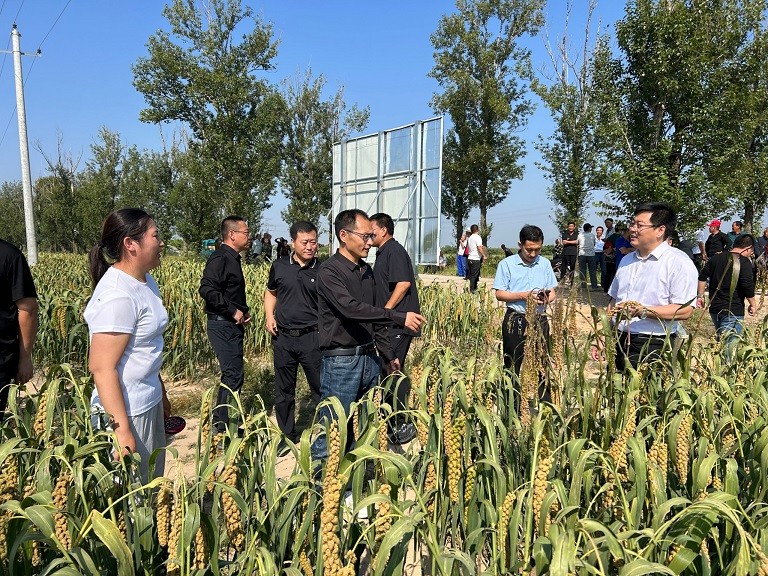 1700033960923013166.jpg 1.jpg